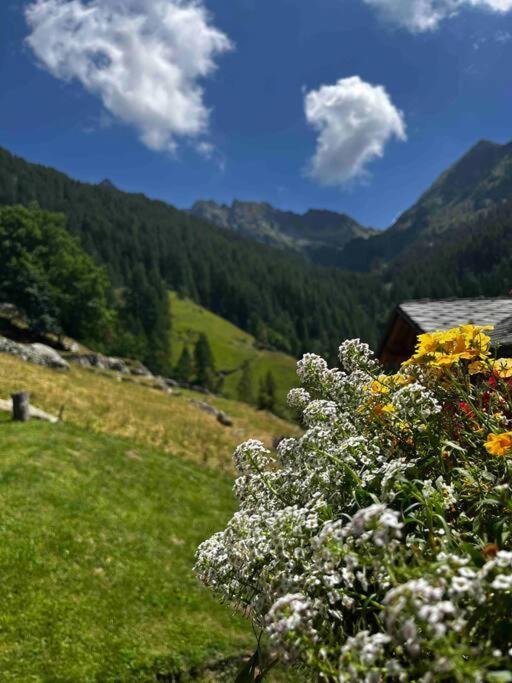 Una Piccola Bomboniera Gaby Dış mekan fotoğraf